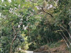 -广州白江湖森林公园