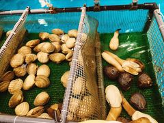 -ジャンボ釣船 つり吉(新世界店)