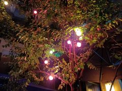 -SISTERS BAR RESTAURANT川意酒馆(嘉善老市H楼店)