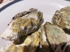 -杨氏青龙虾·羊蝎子(托乐嘉店)