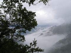 -牛背梁国家森林公园