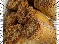 芝麻香芋卷-大铁勺新津菜(东丽阳光新业广场店)