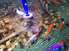 -水晶之星洗浴温泉汗蒸