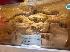 -上海昆虫博物馆