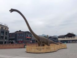 -恐龙探索乐园(磁器口店)