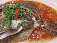 -南国桃园旅游度假区