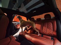 -上海汽车会展中心