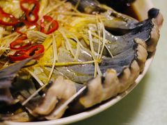 -煲来饱去冷水鱼