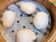 晶莹鲜虾饺-添好运点心专门店(深水埗店)