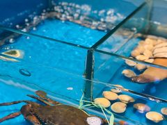 -潮州府·潮菜·砂锅粥(徐家汇店)
