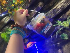 水果冰粉-城墙拐拐火锅(三峡广场黑金冠店)