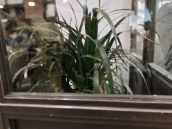 点击看大图 -M+hair salon专业造型沙龙