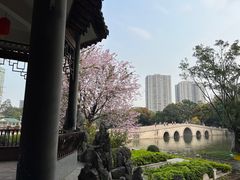 -荔湾湖公园