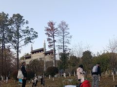 -青龙山国家森林公园