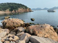 -摩天岭风景区