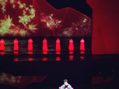 -婺源梦里老家大型山水实景演出