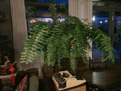 -BUND·FIVE外滩5号(天际店)