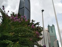 -荔枝公园-小平画像广场