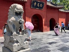 -洛阳白马寺