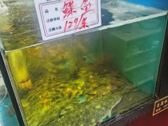 水产区-九层海鲜塔(市南店)