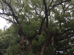 -普陀山风景名胜区-法雨禅寺