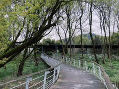 -西湖风景区-江洋畈生态公园