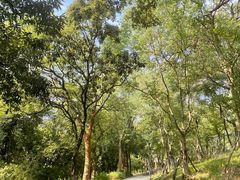 -上海市保健医疗中心