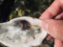 -大连理工大学中心-食堂