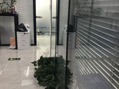 -新航道雅思托福·留学·考研培训(人民广场校区)
