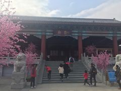 -厦门方特梦幻王国