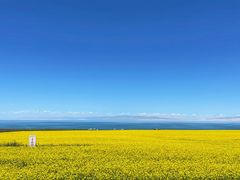 -青海湖国家重点风景名胜区