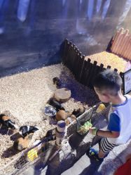 -酷嗒动物文化乐园(cutezoo西溪乐天城店)