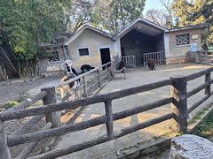 -昆明动物园