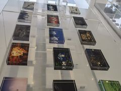 -罗红摄影艺术馆