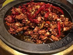 -天山醉美辣子鸡(文艺路店)