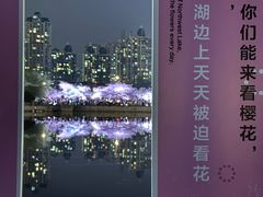-西北湖绿化广场