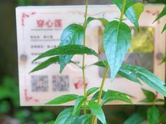 -广州神农草堂中医药博物馆