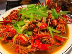 -红盔甲·小龙虾(天钥桥店)