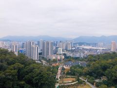 -金鸡山公园