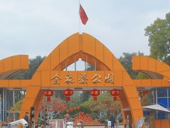 -金花茶公园