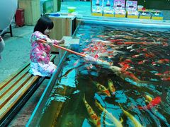 -昆明动物园