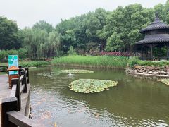 -天目湖山水园