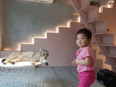 -猫儿山۰猫主题餐厅