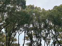 -天一阁博物院