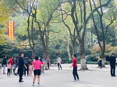 -杭州黄龙洞