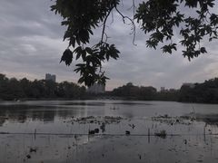 -东山湖公园