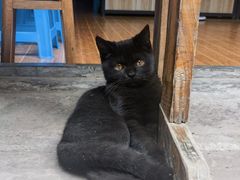 -尧坝古镇