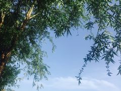 -钰洁腊排骨火锅