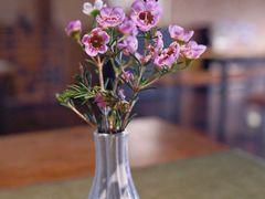 -青竺·青竹茶舍(断桥店)