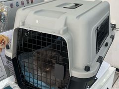 -四月宠物医院·猫专科·心脏专科·内科(转塘店)